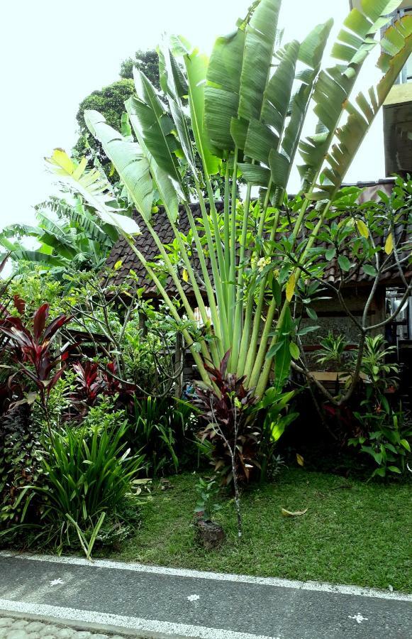 Dewa Put Guest House Ubud  Luaran gambar